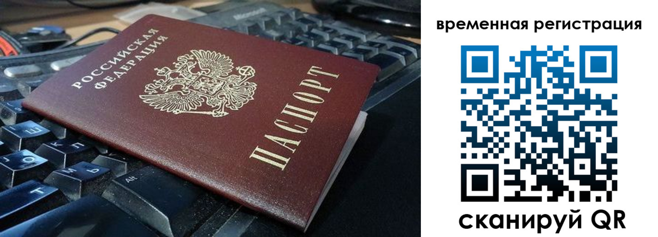 прописка для школы в Чистополье